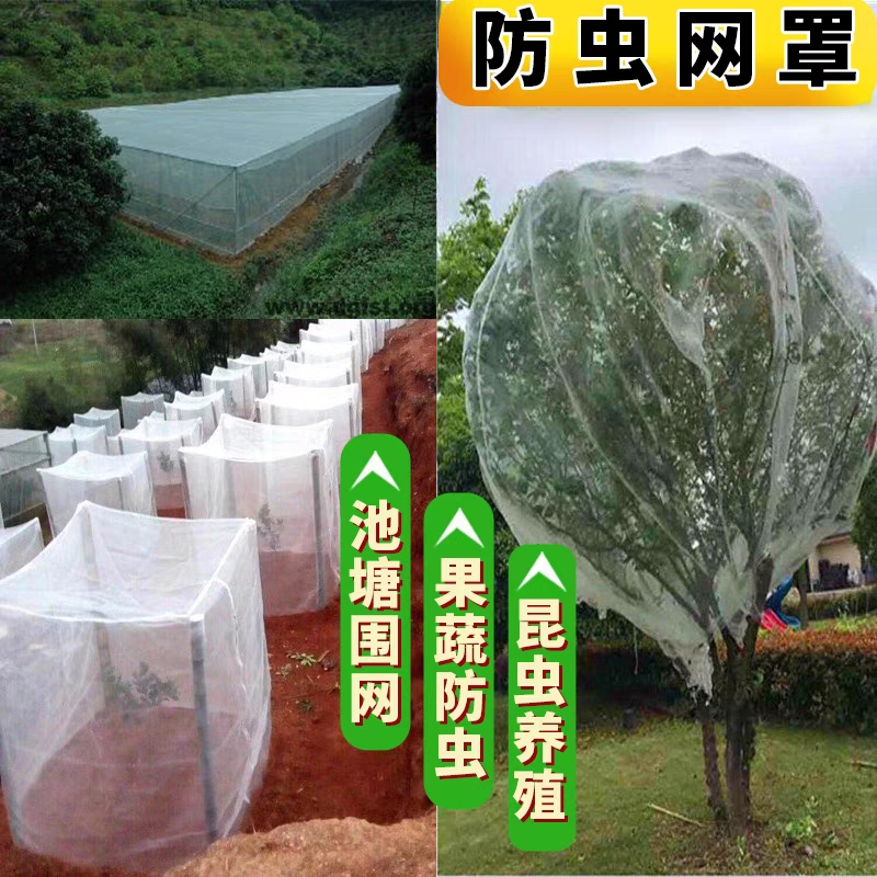 防虫网蔬菜大棚网果园种植网猪场防蚊莲雾网防鸟网加厚纱网防虫网