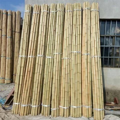 竹竿黄白竹竿粗细菜架竹黄瓜豇豆茄子辣椒架杆彩旗杆楠竹