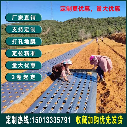打孔地膜农用银黑地膜带孔防长草不长草地膜反光膜盖草地膜免打孔