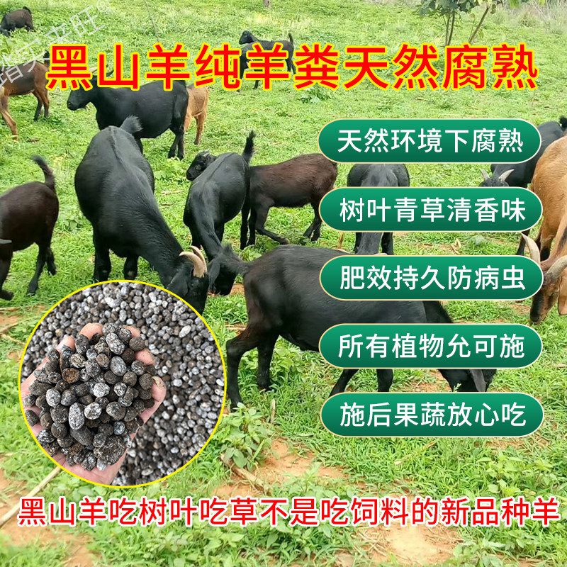 云南黑山羊纯羊粪发酵腐熟干羊粪兰花蔬菜花卉有机肥料羊粪颗粒蛋