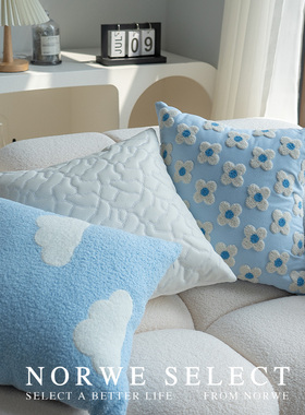NORWE沙发抱枕客厅靠枕淡蓝花朵枕套可拆洗卧室靠背阳台飘窗靠垫