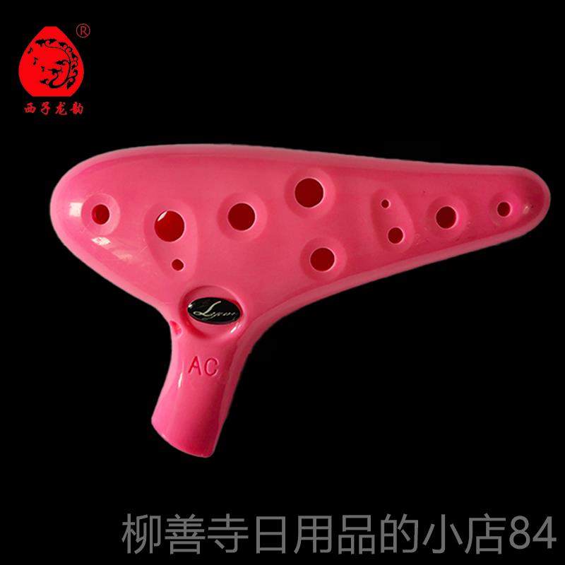 正品西生子韵塑料塑脂12孔中调音C/AC初学陶龙笛耐摔学校学吹奏乐