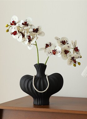 中古蝴蝶兰电视餐边柜新家氛围感装饰摆件高级感小众客厅家居好物