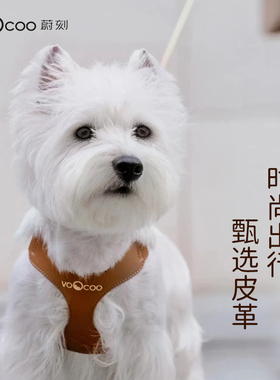 VOOCOO蔚刻狗狗牵引绳背心式遛狗绳胸背柴犬博美泰迪柯基中小型犬