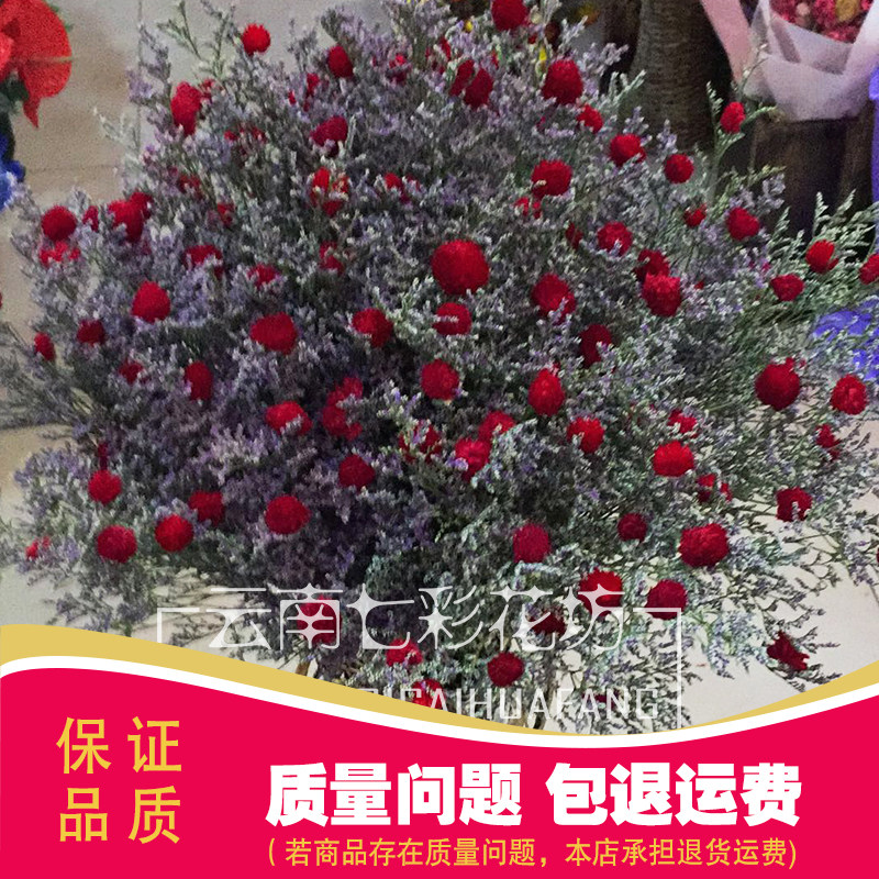 【云南七彩花坊】干花花束鸿运当头大束插花时尚典雅客厅玄关装饰