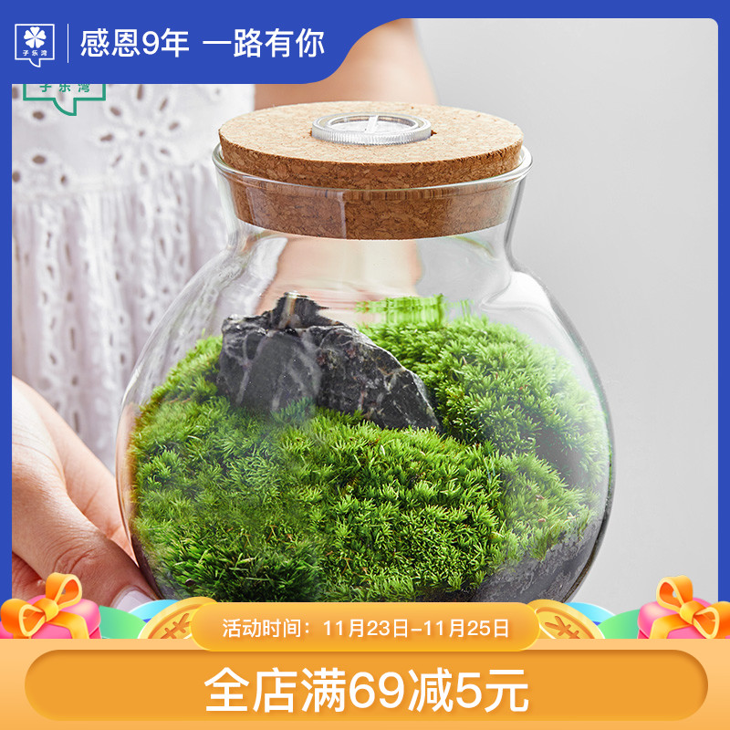苔藓植物微景观生态瓶盆景室内桌面趣味微型景观创意DIY绿植摆件