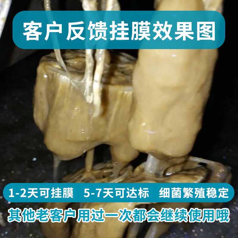 甘度好氧菌种降氨氮脱氮细菌微生物活性菌净化高浓度污水处理菌剂