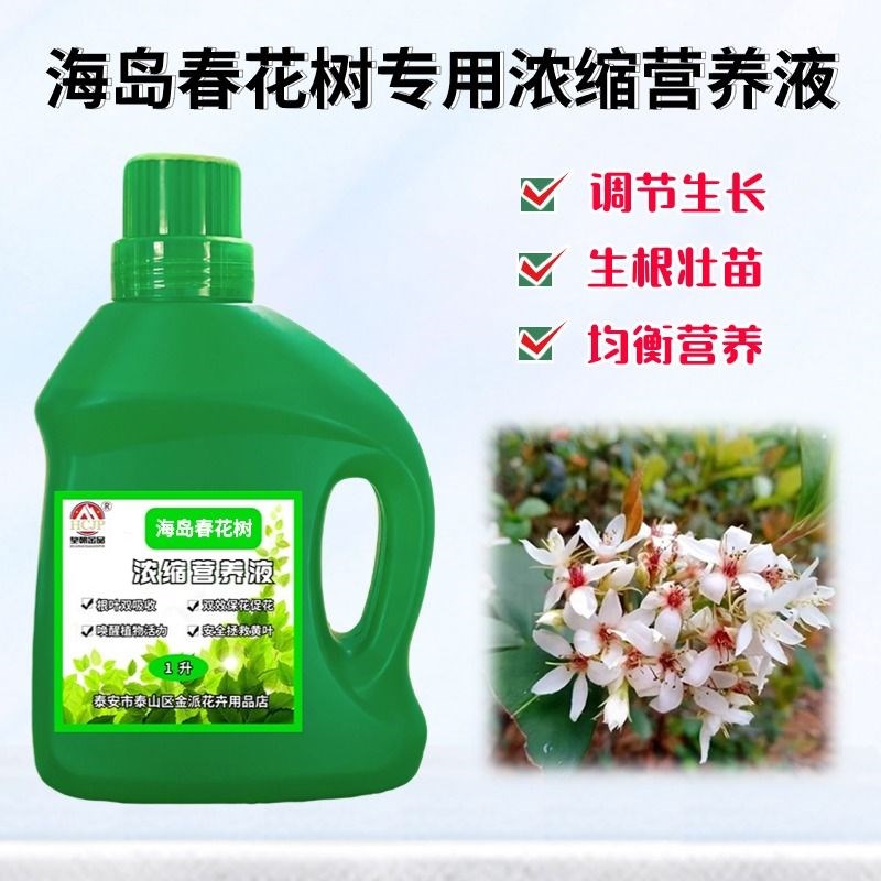 海岛春花树石斑木车轮梅专用浓缩营养液盆景栽绿植物通用养花肥料