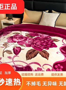 拉舍尔毛毯冬季加厚盖毯单人午睡毯子宿舍学生珊瑚法兰绒被床上用