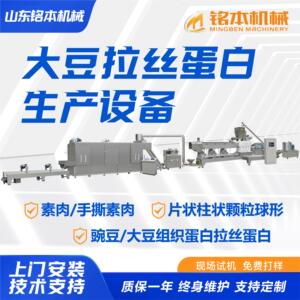 线家供应拉丝蛋白大豆蛋白生产设备组XME蛋白织生厂产豆粕膨化机