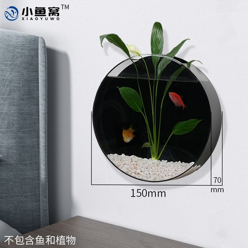 壁挂墙面水培植物微景观圆形花瓶挂壁鱼缸楼梯办公室客厅家居装饰