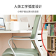 八九间电脑椅人体工学办公椅子学生学习椅弓形家用舒适久坐靠背椅