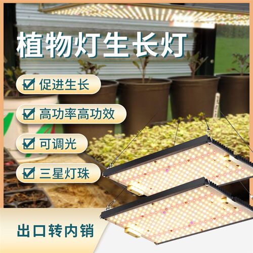 植物生长灯多肉补光灯大功率240W生长上色育苗蔬菜防徒花卉带开关