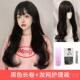 高档奶茶灰棕色假发蓬妇女长卷发 冷茶金棕 松 波大浪 中长发