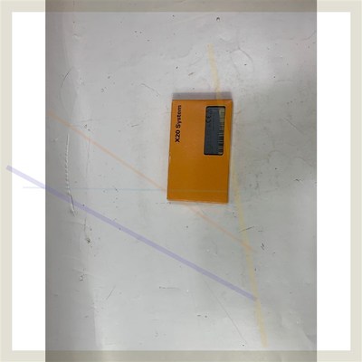 B&R X20BR9300  模块