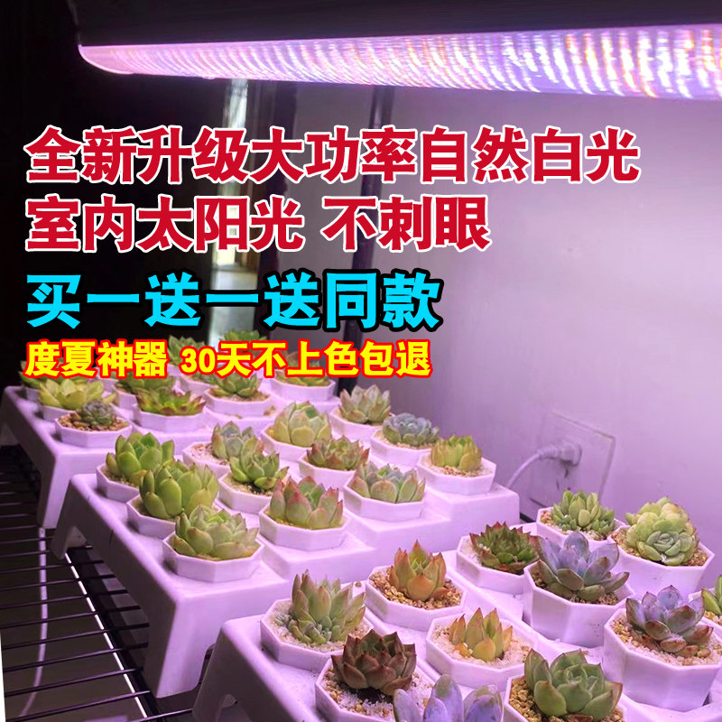 核管家多肉补光灯家用上色全光谱植物生长灯防徒长室内花卉太阳光,家装灯饰光源,植物生长灯,淘宝优惠券,粉丝福利购,淘宝优惠卷