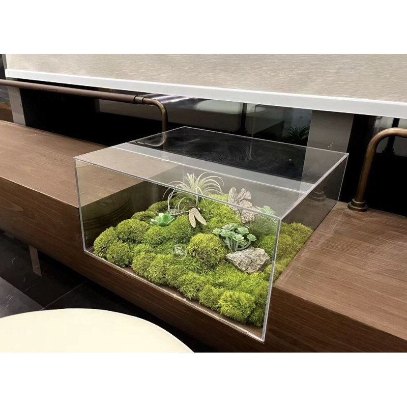 商务造景高端永生苔藓微景观茶室办公桌面装饰会议室样板间摆件花