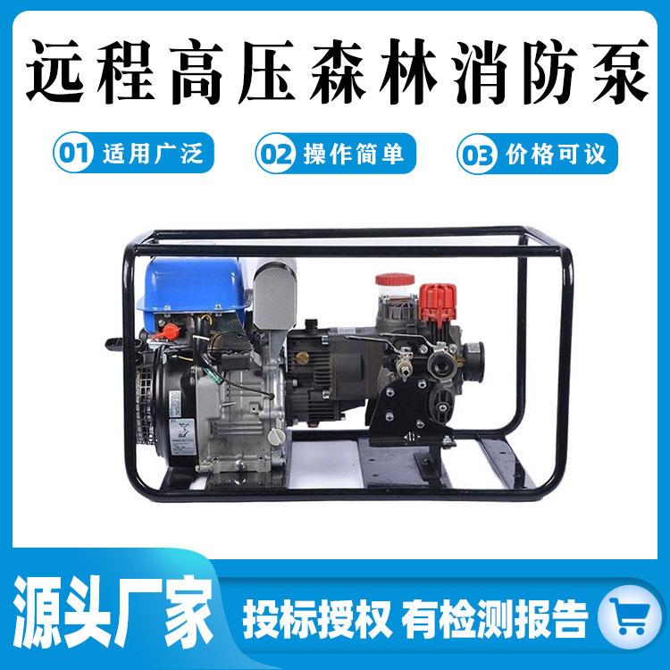 森林消防泵GYB55/0.4四冲程意大利隔膜泵高扬程森林消防灭火水泵