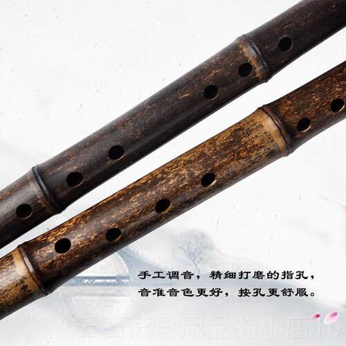 高档G管子生专业紫竹精洞品短先箫8孔6孔箫演奏迷你萧初学入门乐