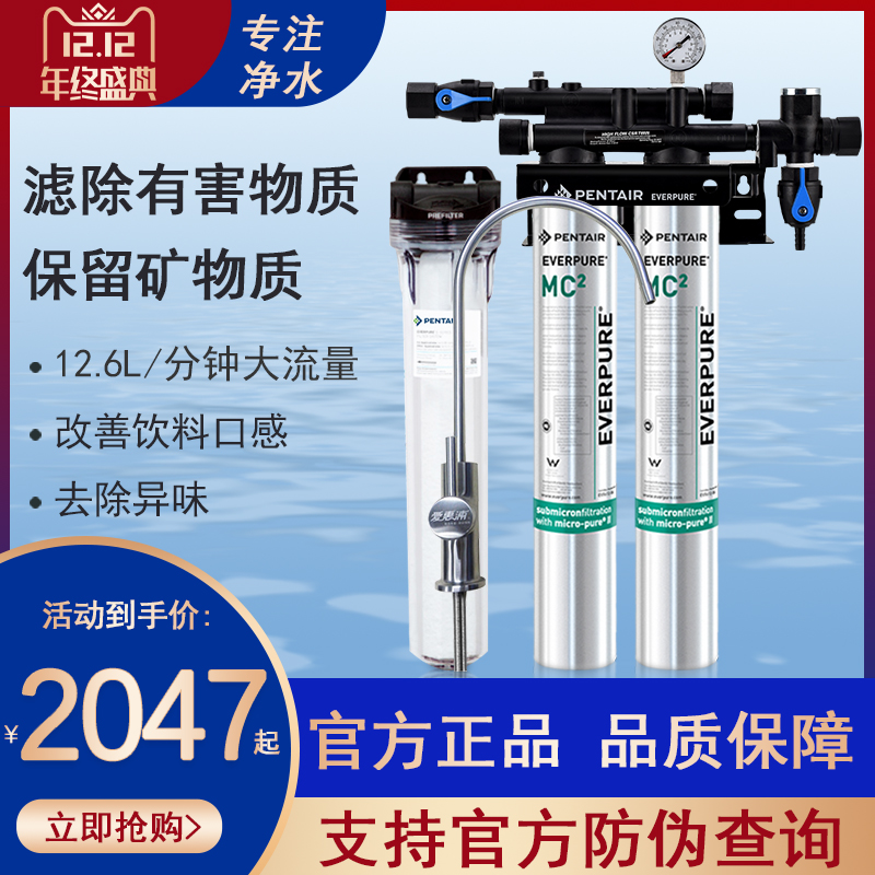 爱惠浦MC2净水器原装咖啡餐饮商用大流量出水MC2双联直饮过滤器