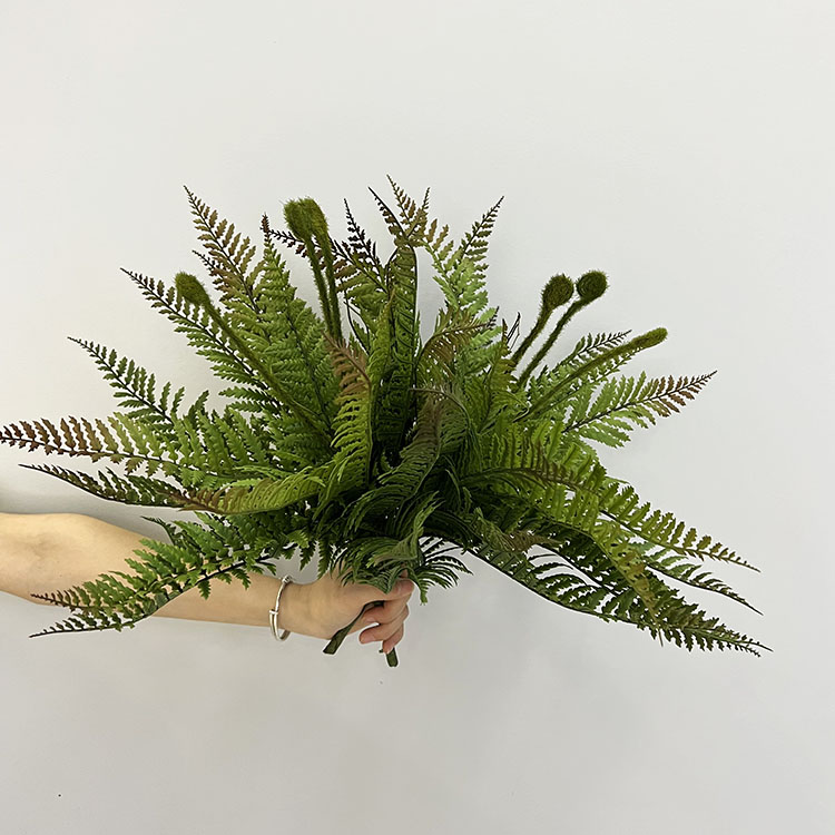 高品质蕨草大蕨叶肾蕨蕨类植物波斯草造景绿植橱窗布景假花软装摆