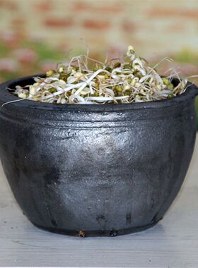 平定砂锅黑砂生豆芽锅连锅卖的豆芽锅