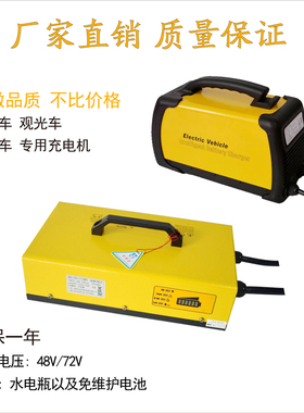 城管巡逻车电动观光车充电器48v72v25a充电30a扫地车免维护水电瓶
