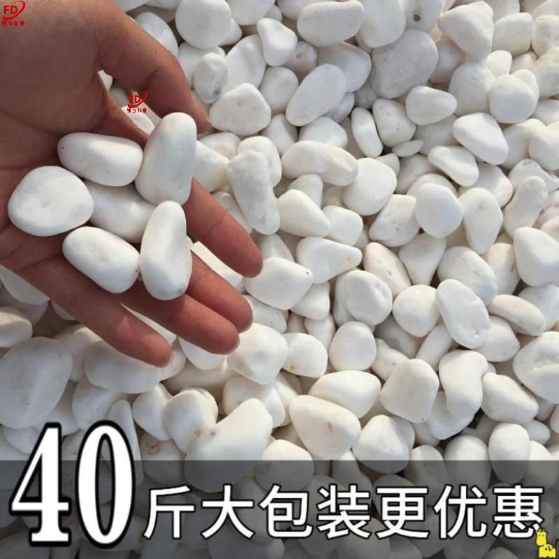 院子造景鹅卵石白石子庭院白色铺地小碎石头景观铺路装饰铺面粒软