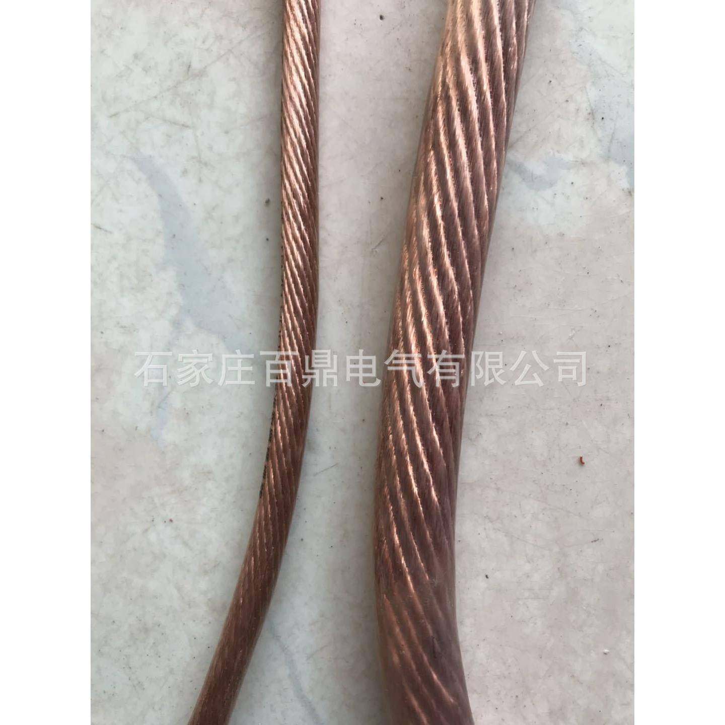 过载保护接地线 TJR50mm2大电流带透明绝缘皮接地线 避雷针地线,鲜花速递/花卉仿真/绿植园艺,割草机/草坪机,淘宝优惠券,粉丝福利购,淘宝优惠卷