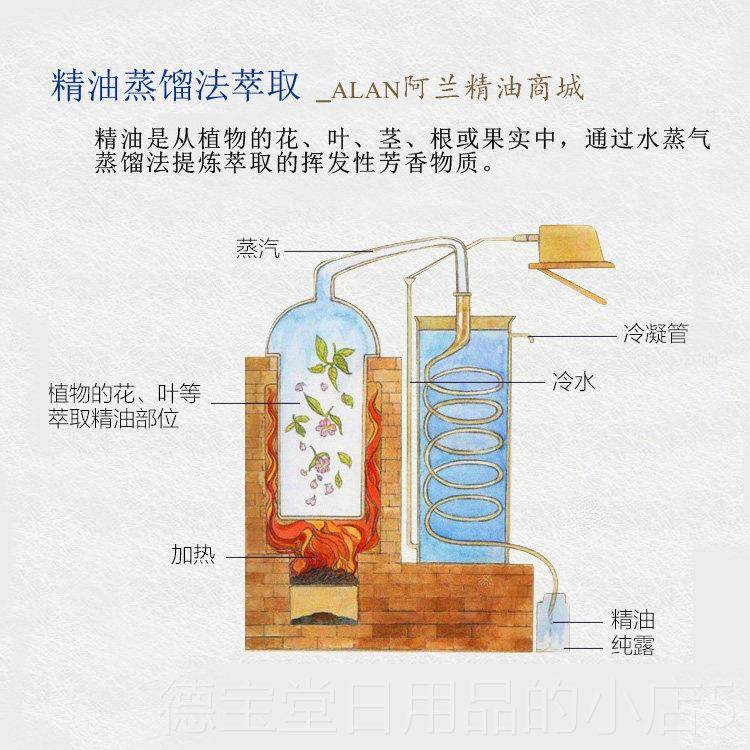 正品法国百里香精油100m抗抗化氧去菌屑通经抑制落发振l奋按摩单图片