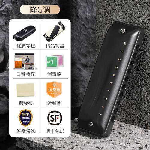 正品JDR嘉德布斯蓝调十调孔口琴10孔C瑞忍者初学者鲁入门专业padd