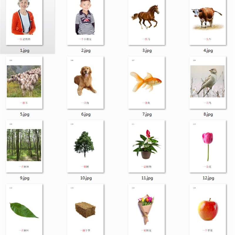量词训练卡片 自闭症孤独症儿童B发育迟缓语言康复卡片B教具