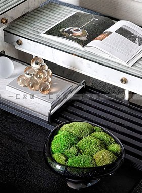 一匚 现代简约玻璃花器托盘书籍苔藓摆件 样板间酒店餐厅客厅饰品