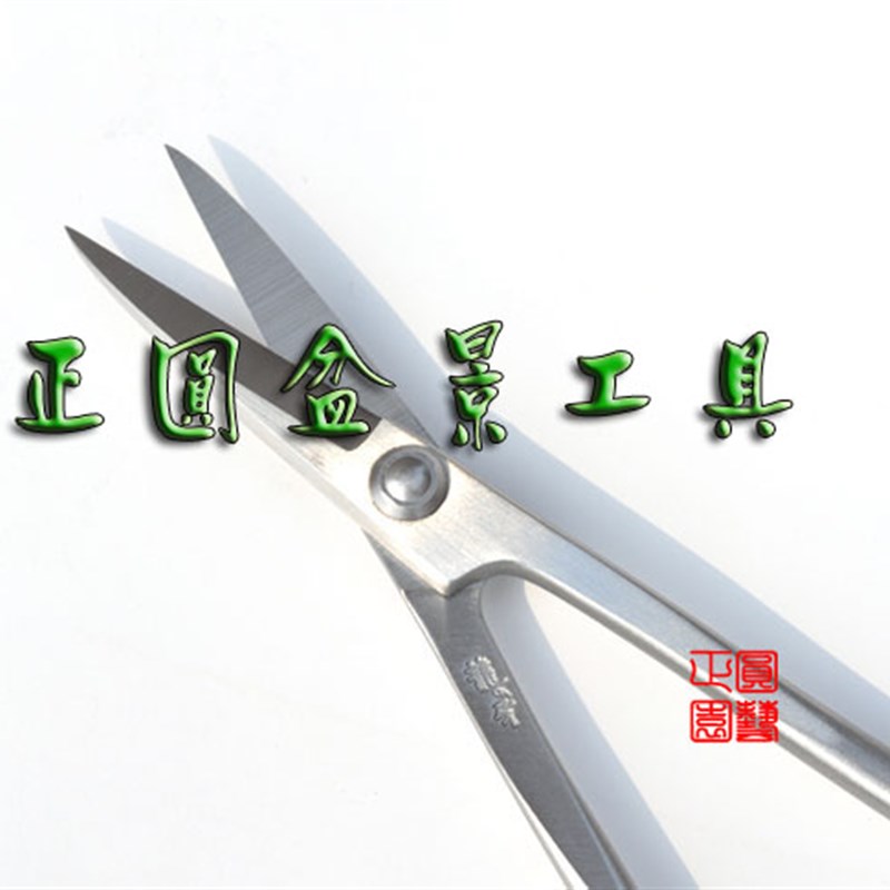 小品叶芽剪RS-01 专业修剪叶芽 嫩枝剪 细叶剪 正圆龙牙品质保证