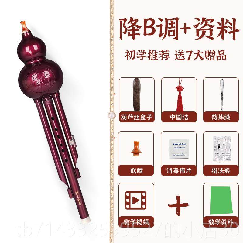 高档新艺 ABS闪调光胶木葫芦丝乐器c降乐b调学生成人儿紫童初学入