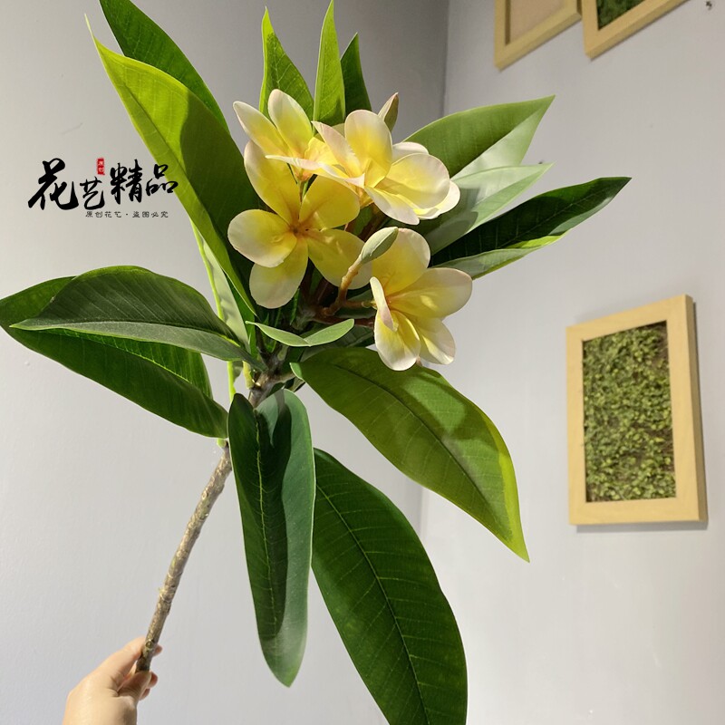 鸡蛋花树枝鸡旦花仿真花软装插花素材大树装饰品陈列家居摆放花艺