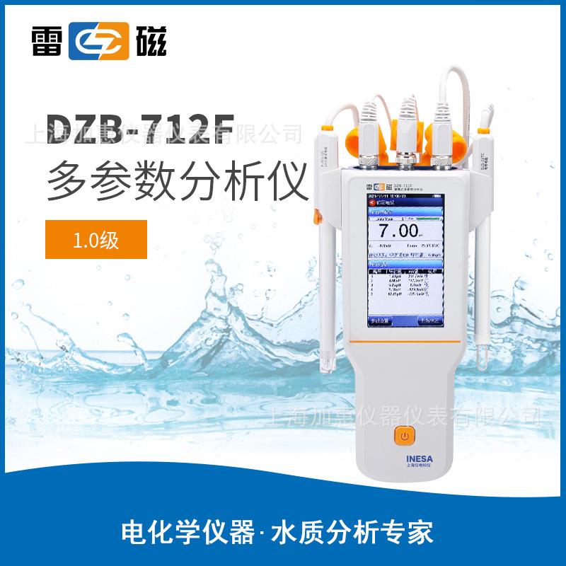 上海DZB-712F多参数分析仪