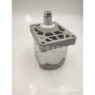 农机泵 菲亚特 640 480 液压齿轮泵A33×P4MS FIAT