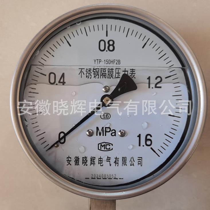 YTP-150HF2B不锈钢耐震隔膜压力表 YTPN-150HF2B