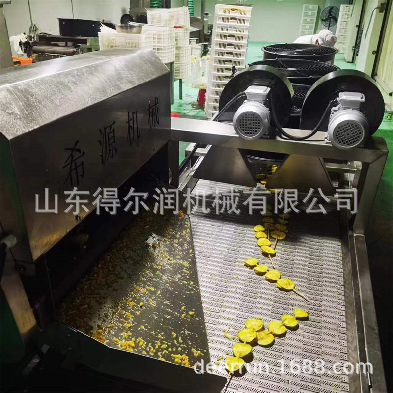 烧烤蔬菜串上浆机 油炸机 藕片串油炸流水线 容油量低 过滤油渣