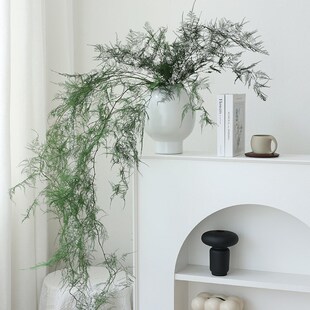 天然文竹干花花束客厅摆设永生花高级感真花中式插花装饰拍照道具