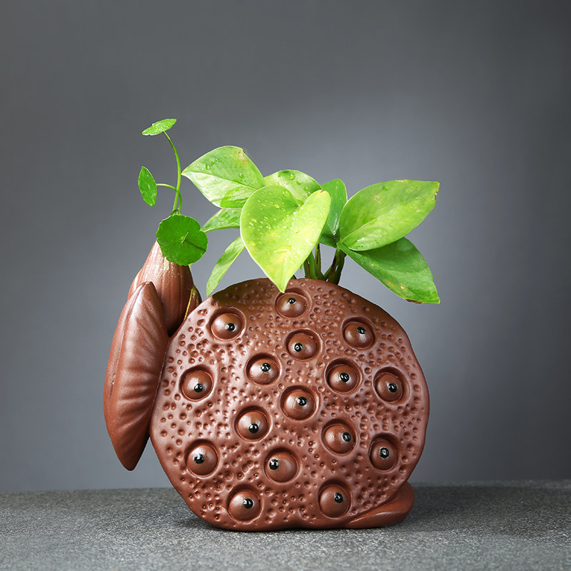 茶桌摆件高档紫砂莲蓬茶宠摆件精品花盆精品可养茶具配件