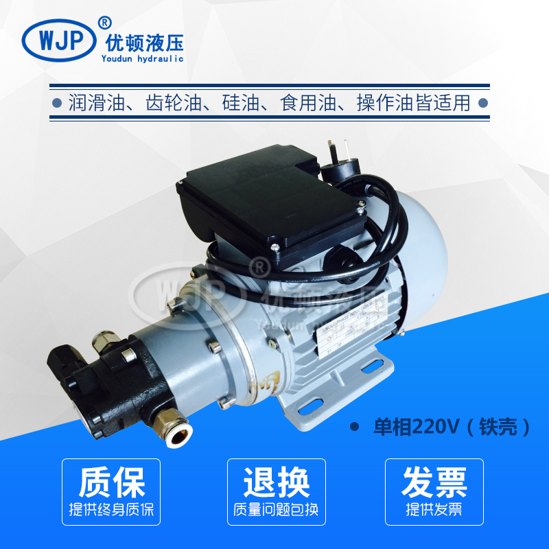 电动小流量高粘度抽油泵齿轮油泵 机油泵 柴油泵 加油器 冷却油泵