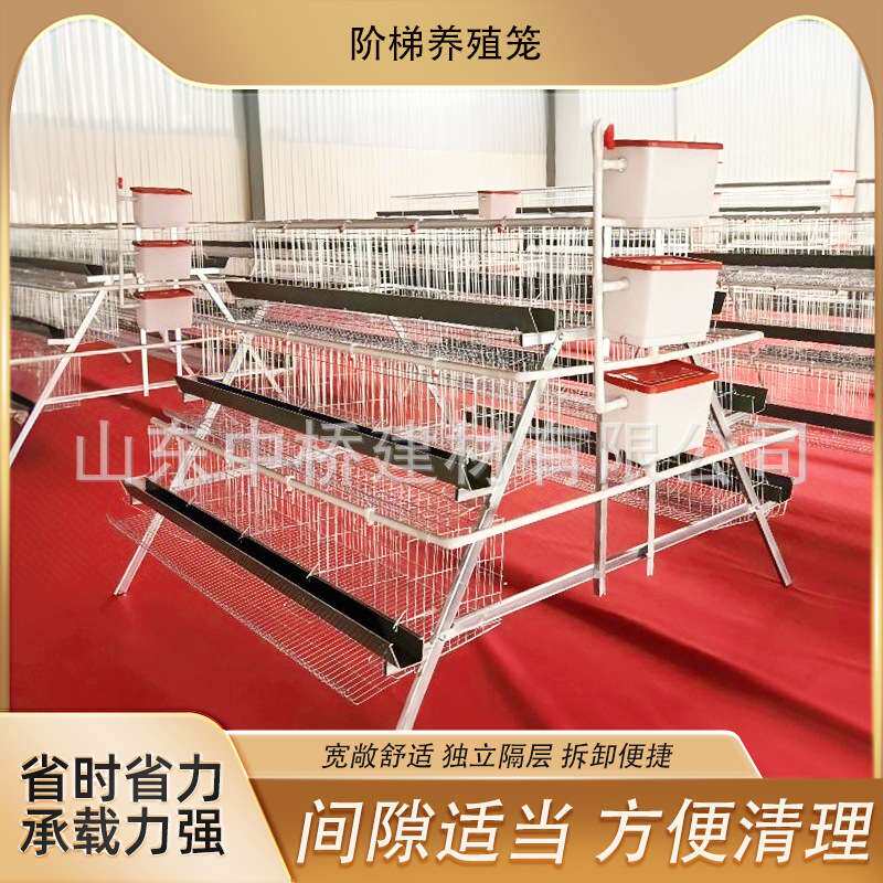 H型笼鸽子笼鹌鹑笼肉鸡养殖场肉鸡A型笼阶梯式立式加粗养殖蛋鸡笼