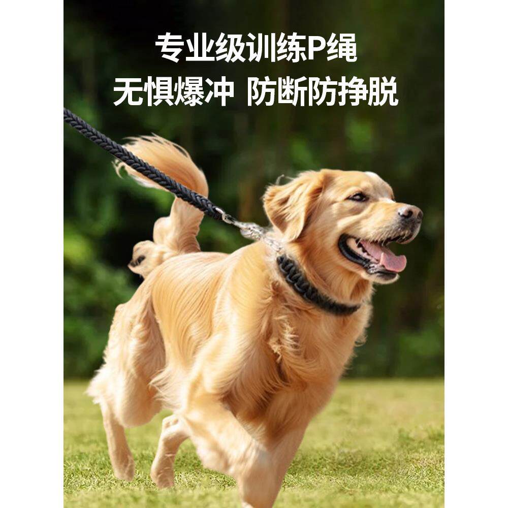 狗绳中型和大型狗金毛猎犬狗绳拉布拉多狗狗炼狗项圈狗项圈P炼
