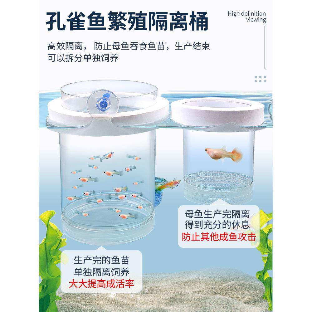 德国孵化盒孔雀鱼繁殖隔离盒凤尾斑马母鱼小鱼胎生鱼缸内产卵孵化