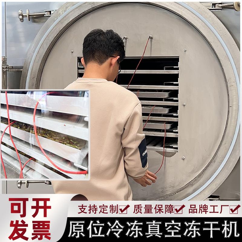 精华液咖啡液真空冻干机肥皂液冻干设备原位冻干真空冷冻干燥机