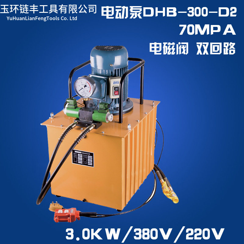 DHB300-D2电动液压泵带双电磁阀液压泵站,油压机双回路液压机