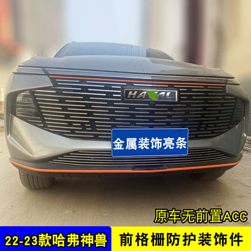 哈弗神兽中网外观改装饰条 前脸格栅专用防护配件防虫网亮条用品