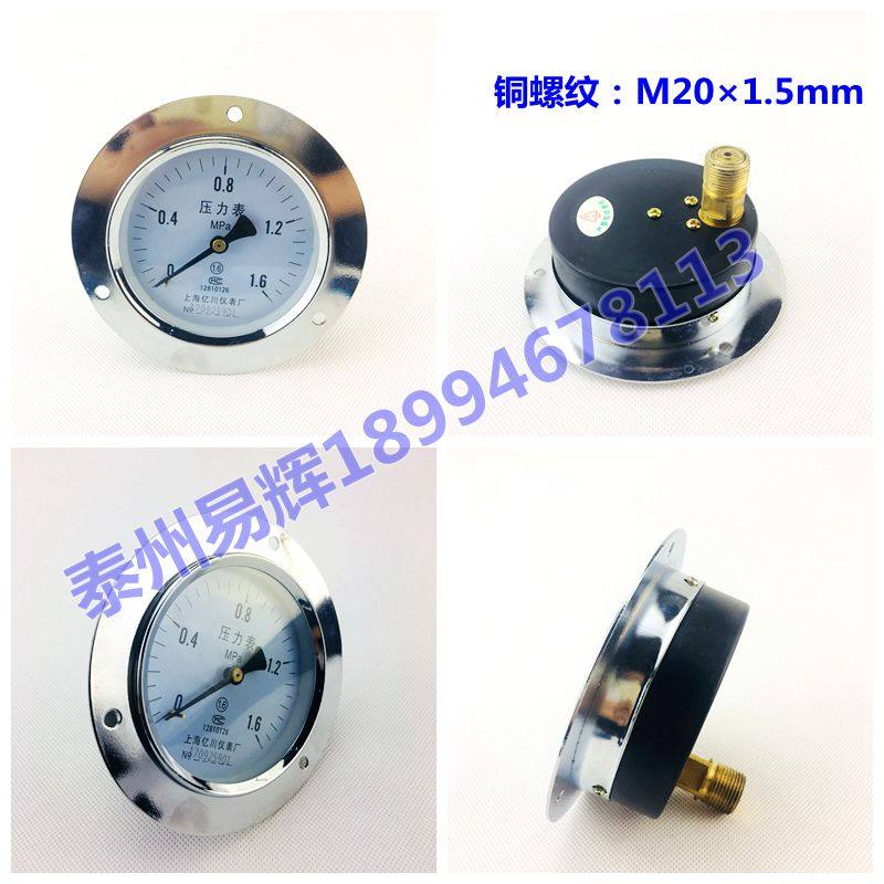 Y100ZT 1.6MPA轴向带边压力表 面板式安装压力表 多种规格量程